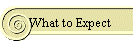 What to Expect